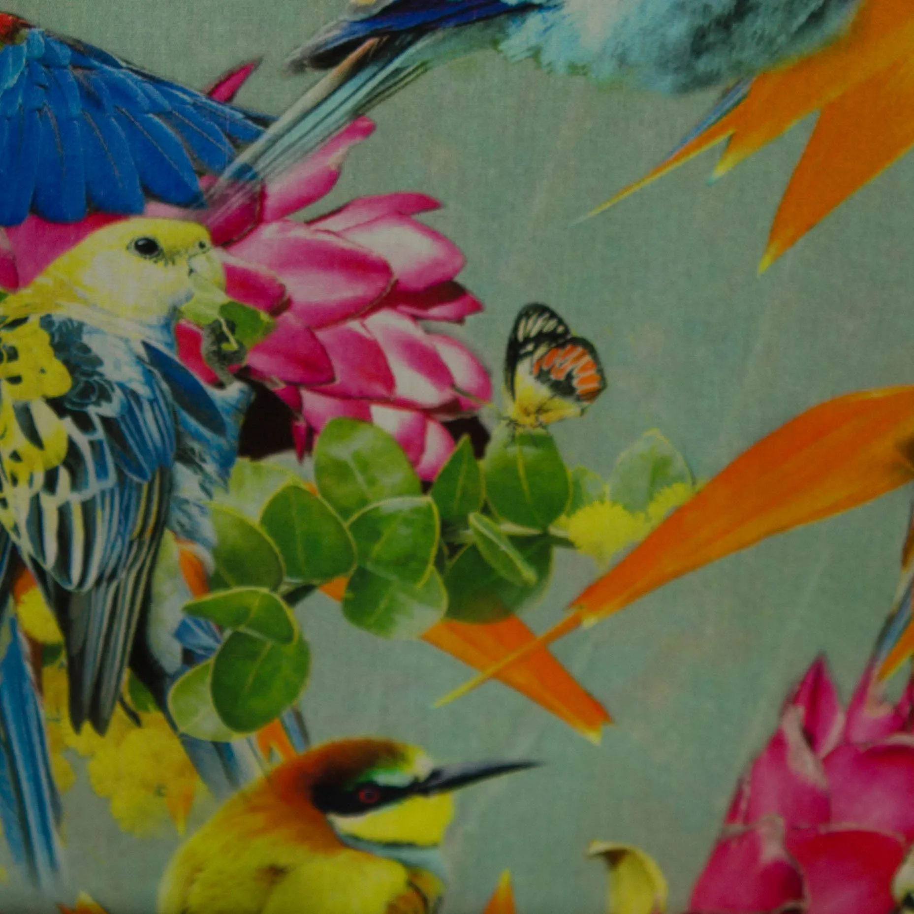 Muntkleurige poplin katoen met realistische vogels